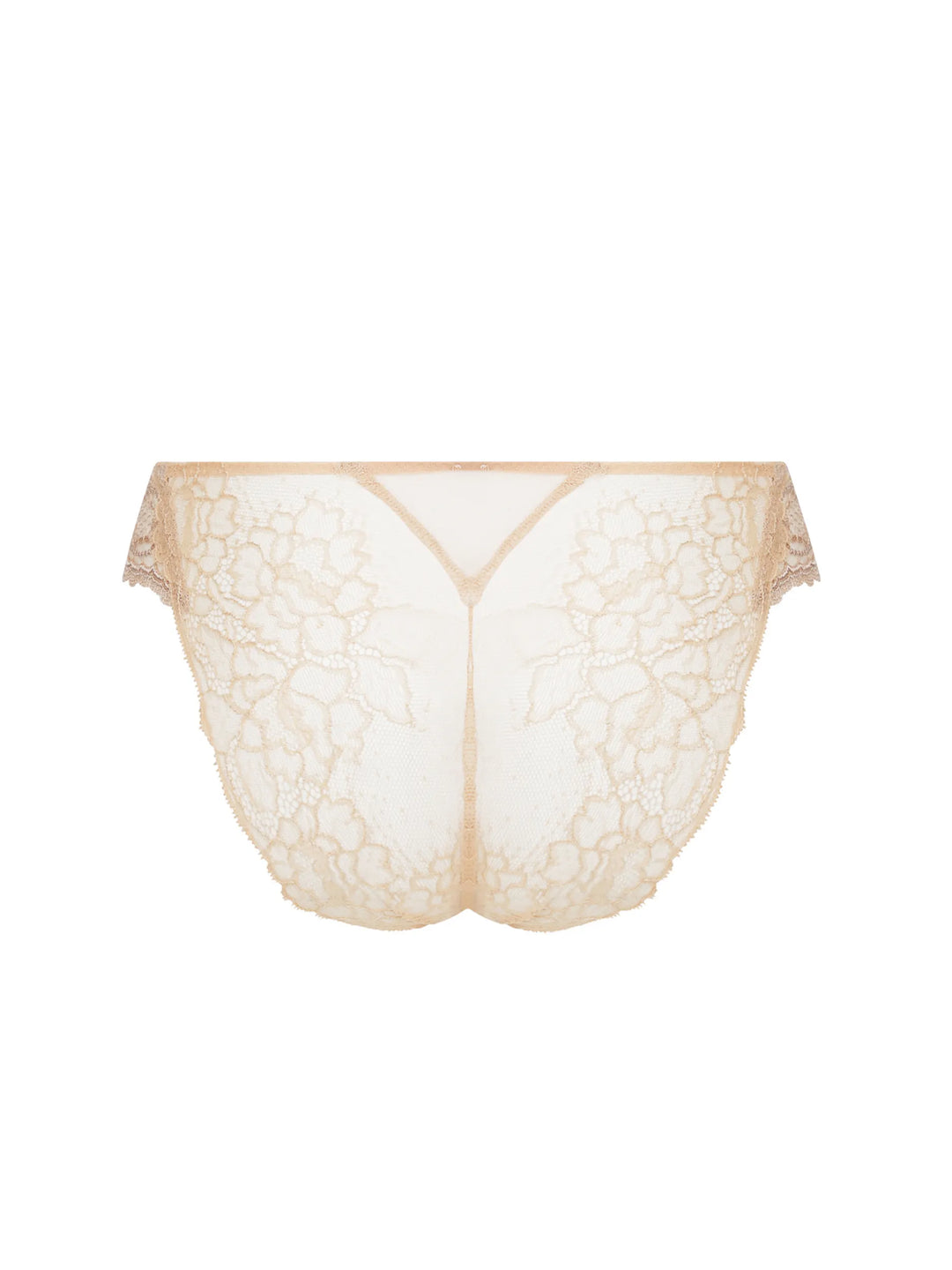 Lise Charmel Sublime En Dentelle Italian Brief Nude
