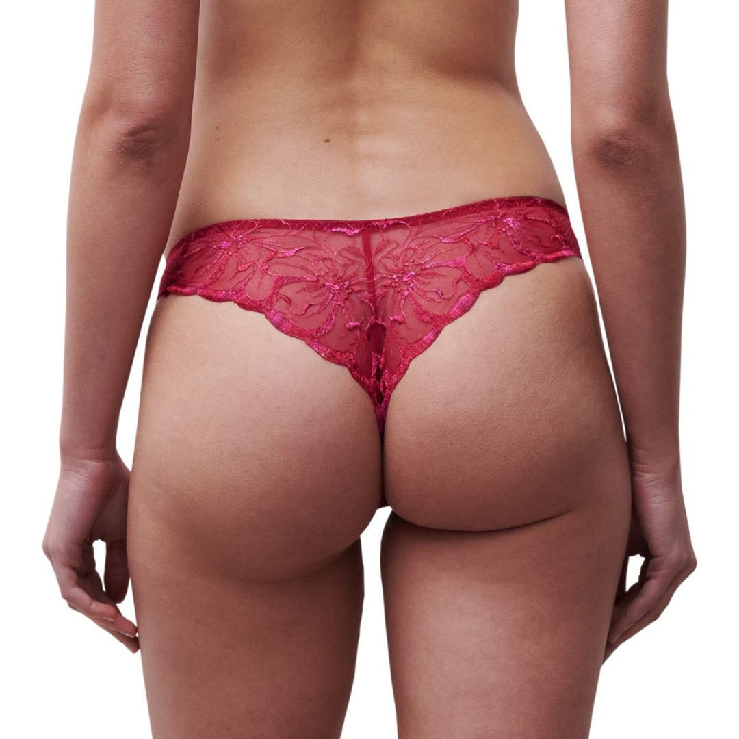 Chantelle Fleurs Tanga - Sugar Cookies Lingerie