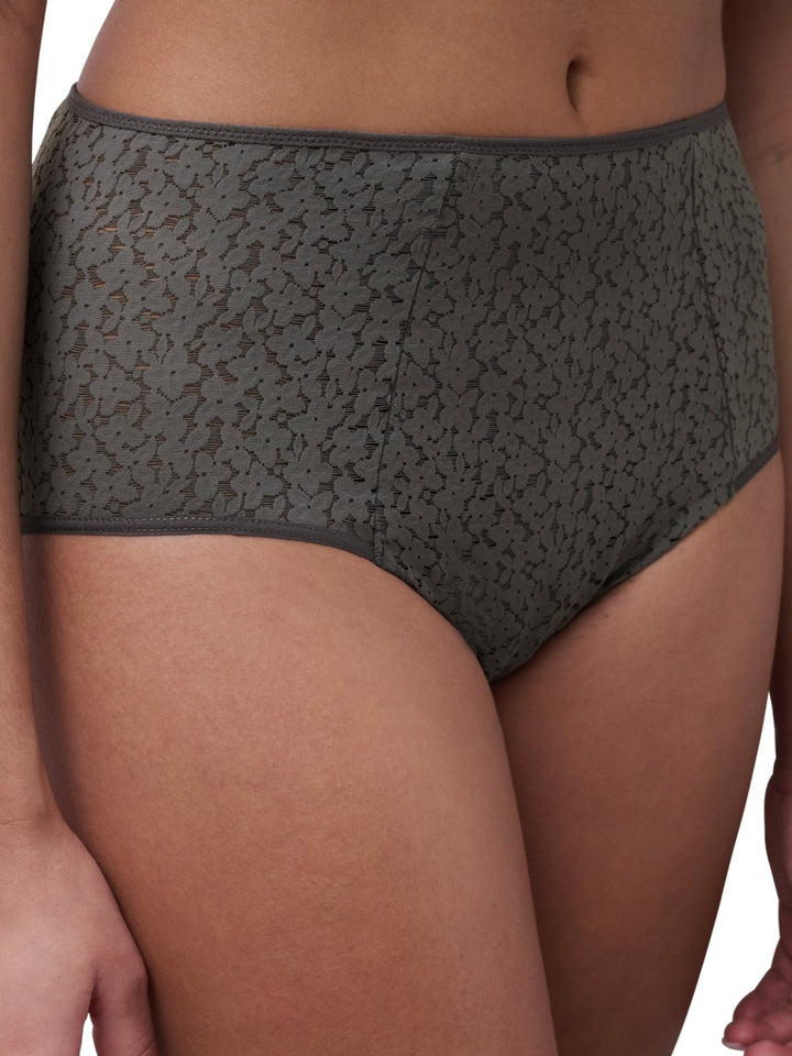 Chantelle Norah High Waist Brief - Sugar Cookies Lingerie
