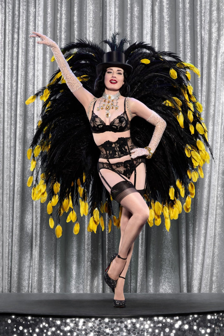 Dita Von Teese Velveteese Suspender Belt - Sugar Cookies Lingerie